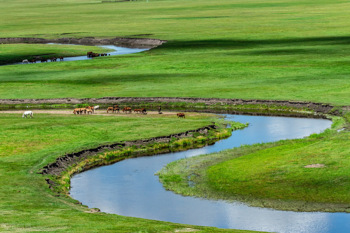 小水滴与大海（学生作文）