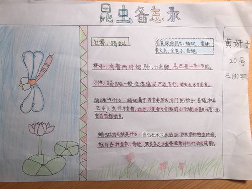 昆虫备忘录仿写