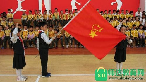 少先队入队仪式(少先队入队仪式的基本流程)（少先队入队仪式（少先队入队仪式基本流程）文章)