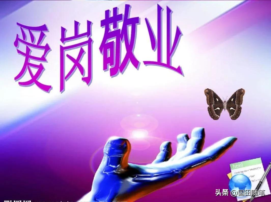 我的教师生涯