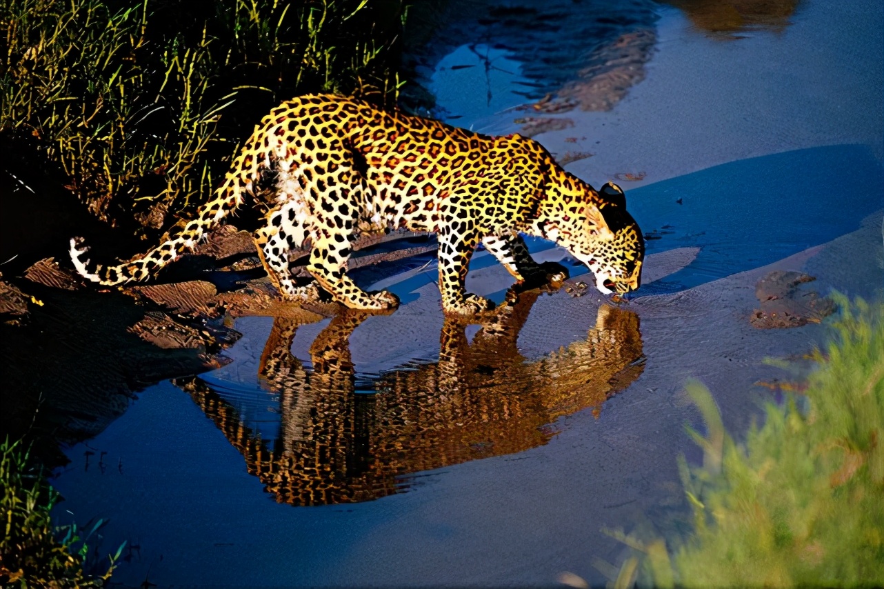 期末考试名校作文《校园趣事》,学霸范文帮你写出跌宕起伏的故事