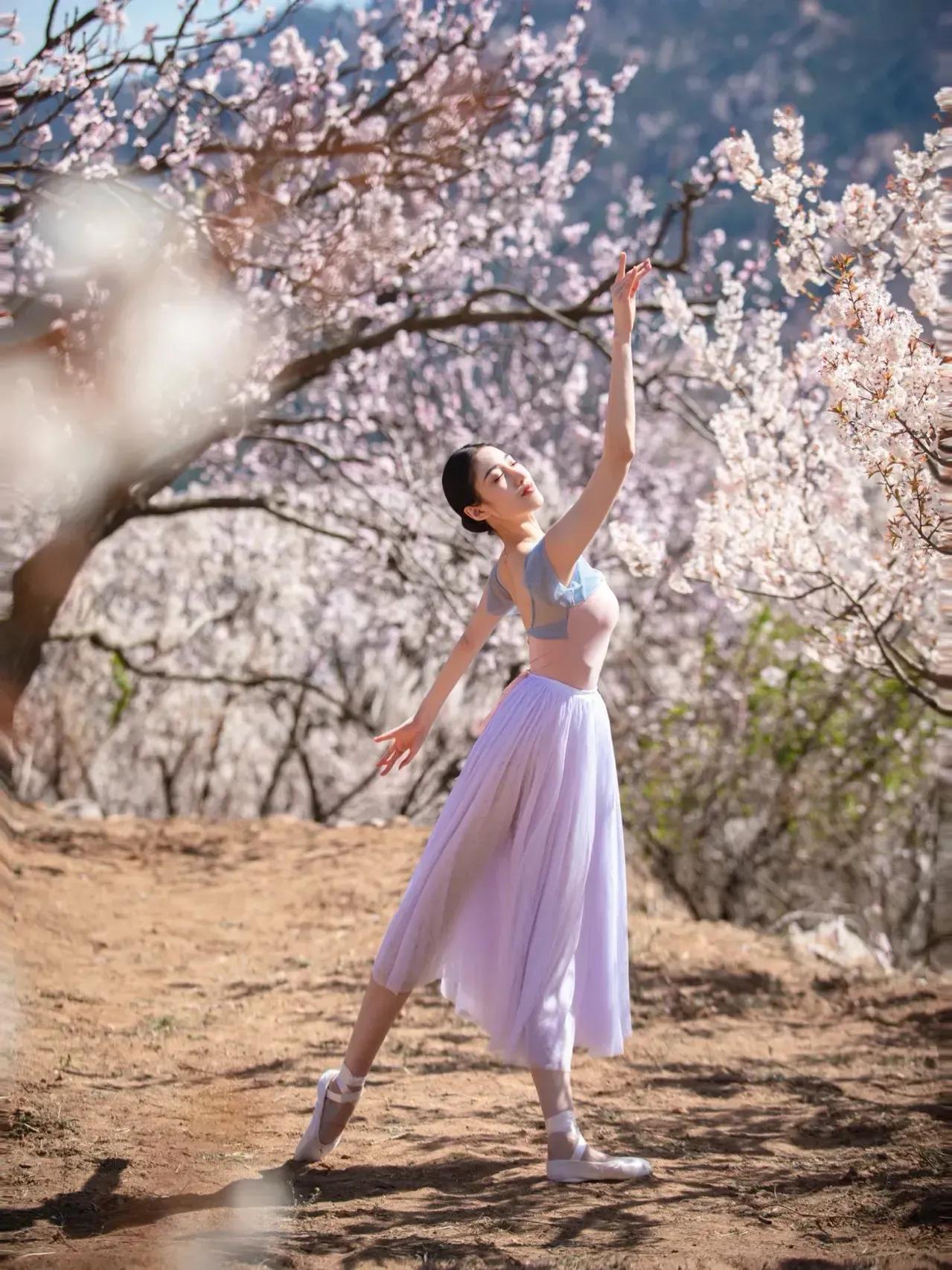 樱花树下的约定(樱花树下的约定简谱)（樱花树下的约定（樱花树下的约定）文章) 