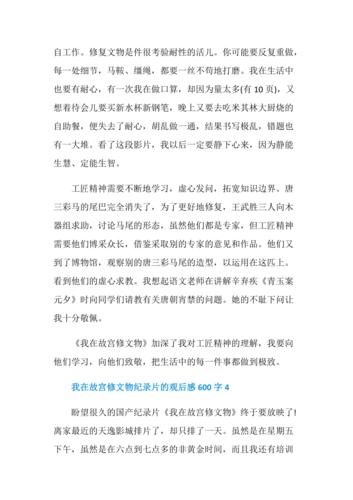 我在故宫修文物观后感