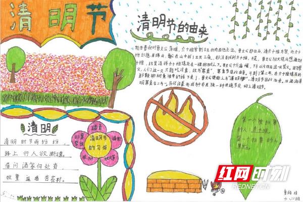 芦淞区南方第三小学开展“我们的节日·清明节”手抄报比赛