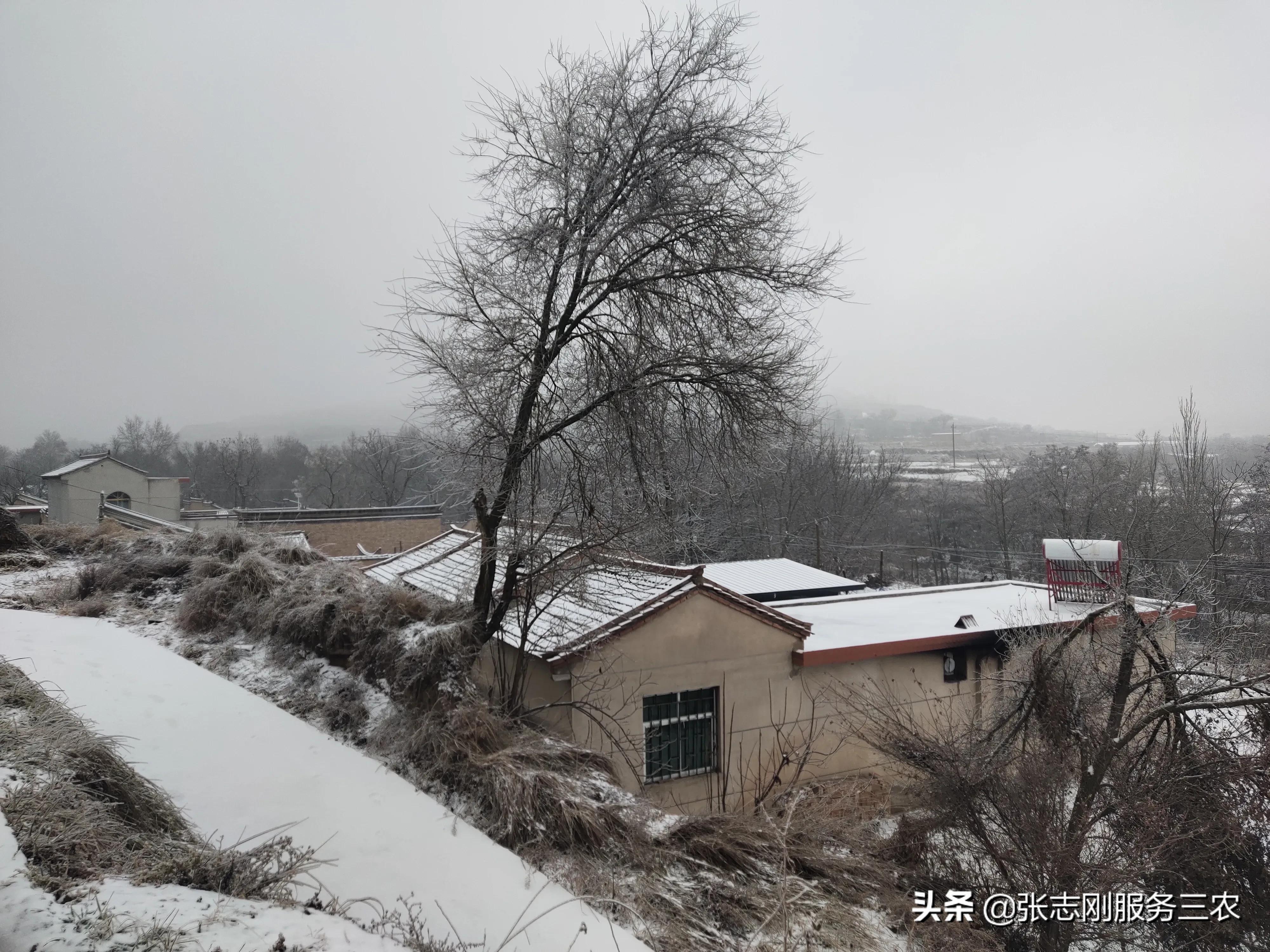 西北农村山区一个贫困孩子家长，写给xxx老师的自我检讨书