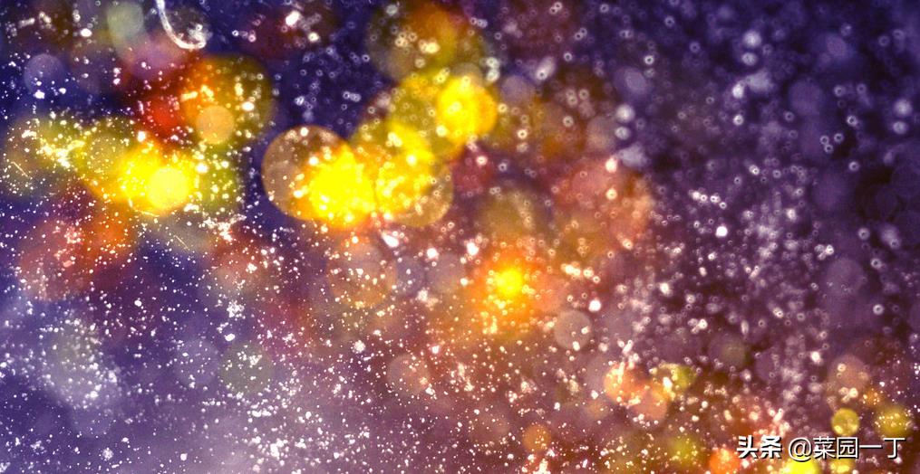 《专注自我，共同推进社会文明》——2015年高考全国II卷满分作文