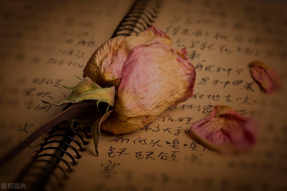 我心中的桃花源