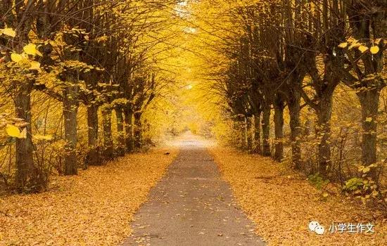 描写秋天的作文开头/结尾,收藏哦