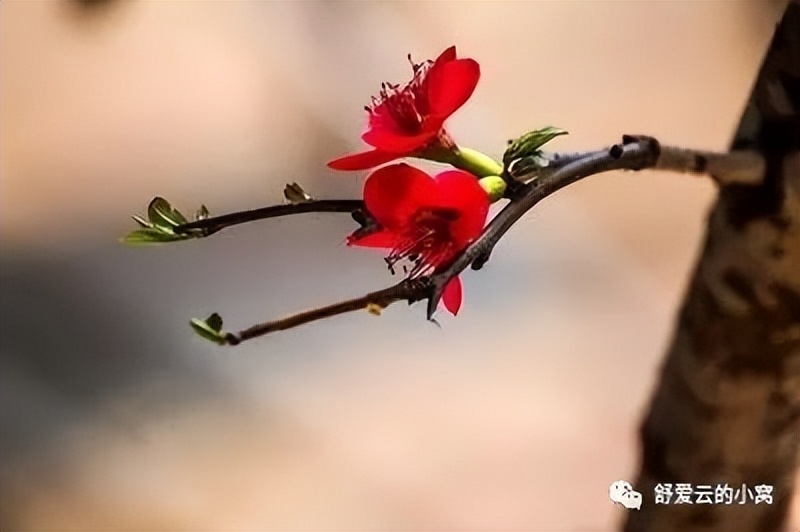 关心他人,先于关心自己