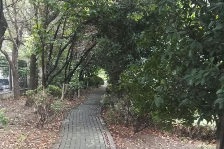 我在初三的那些事儿