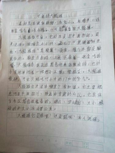 三年级熊猫作文300字