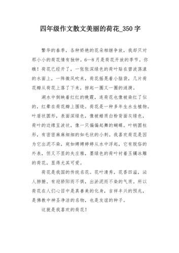 关于荷花的作文