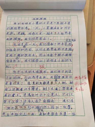 神奇的探险之旅400字作文(神奇的探险之旅400字作文原始森林)（一次神奇的冒险之旅400字作文（原始森林一次神奇的冒险之旅400字作文）文章) 