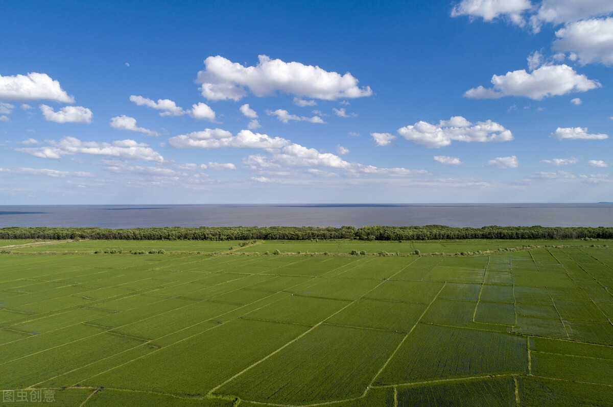 中考优秀作文赏析《生活里的微感动》，七至九年级适用