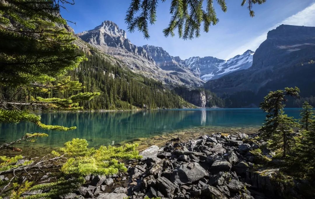 三年级作文《这儿真美》,光写颜色就有三百字,怎样写好写景作文