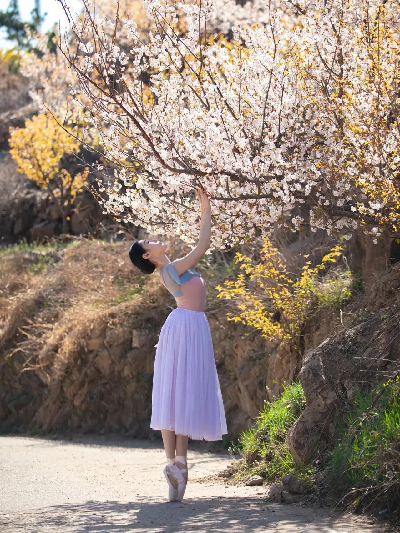 芭蕾写真|樱花树下的约定
