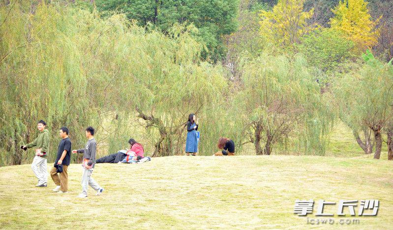 书香校园秋色如画