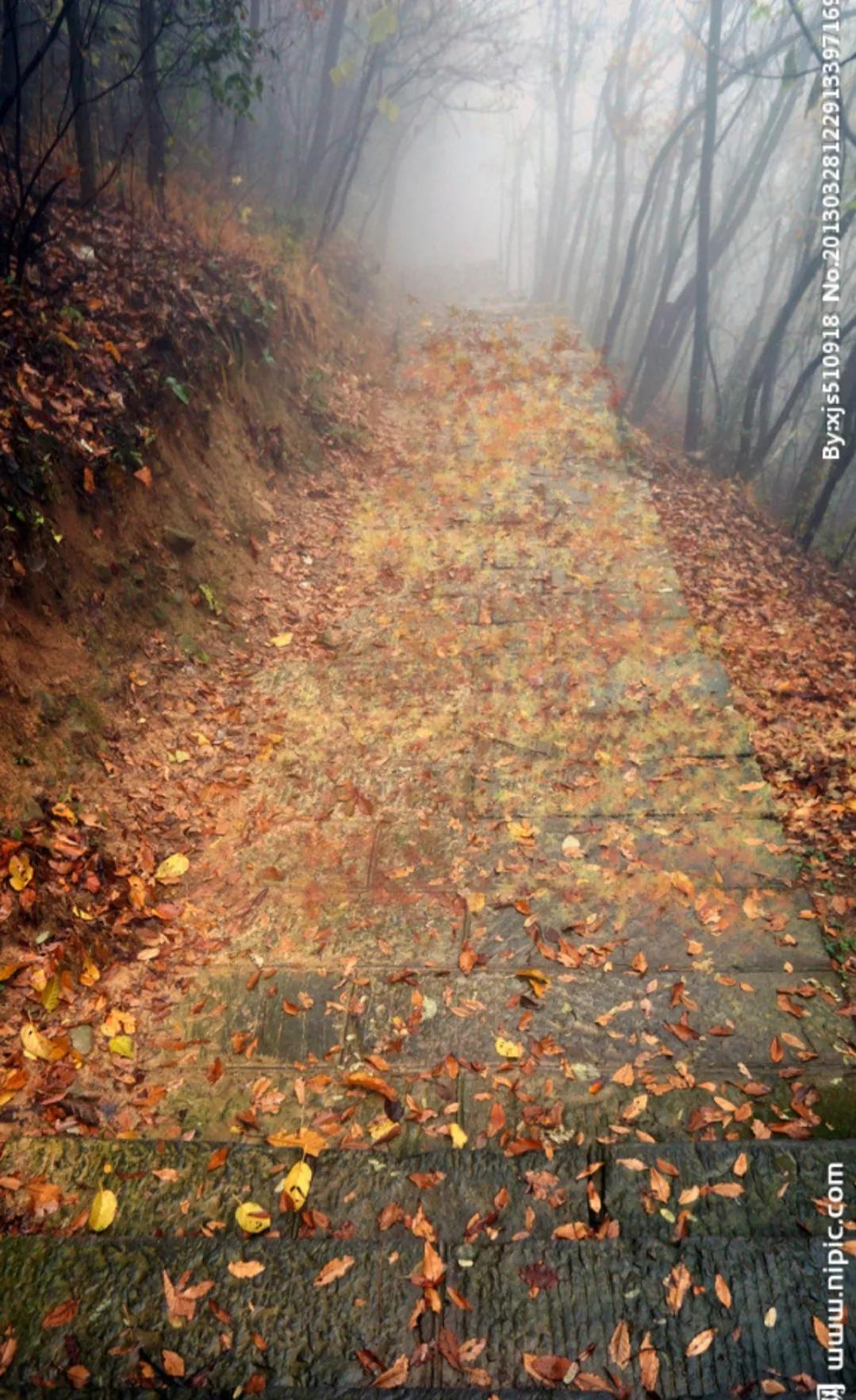 陕西礼泉作家韩武荣深情美文《秋雾》