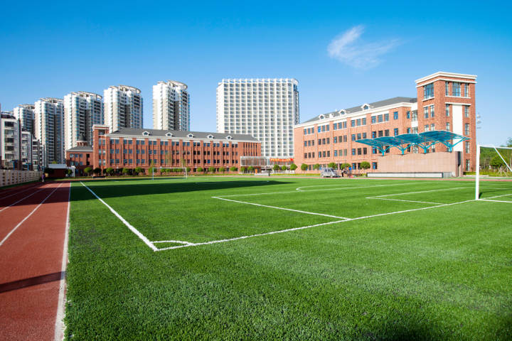 奥运会作文(奥运会作文500字优秀作文)（奥运作文（优秀500字作文作文文章) 