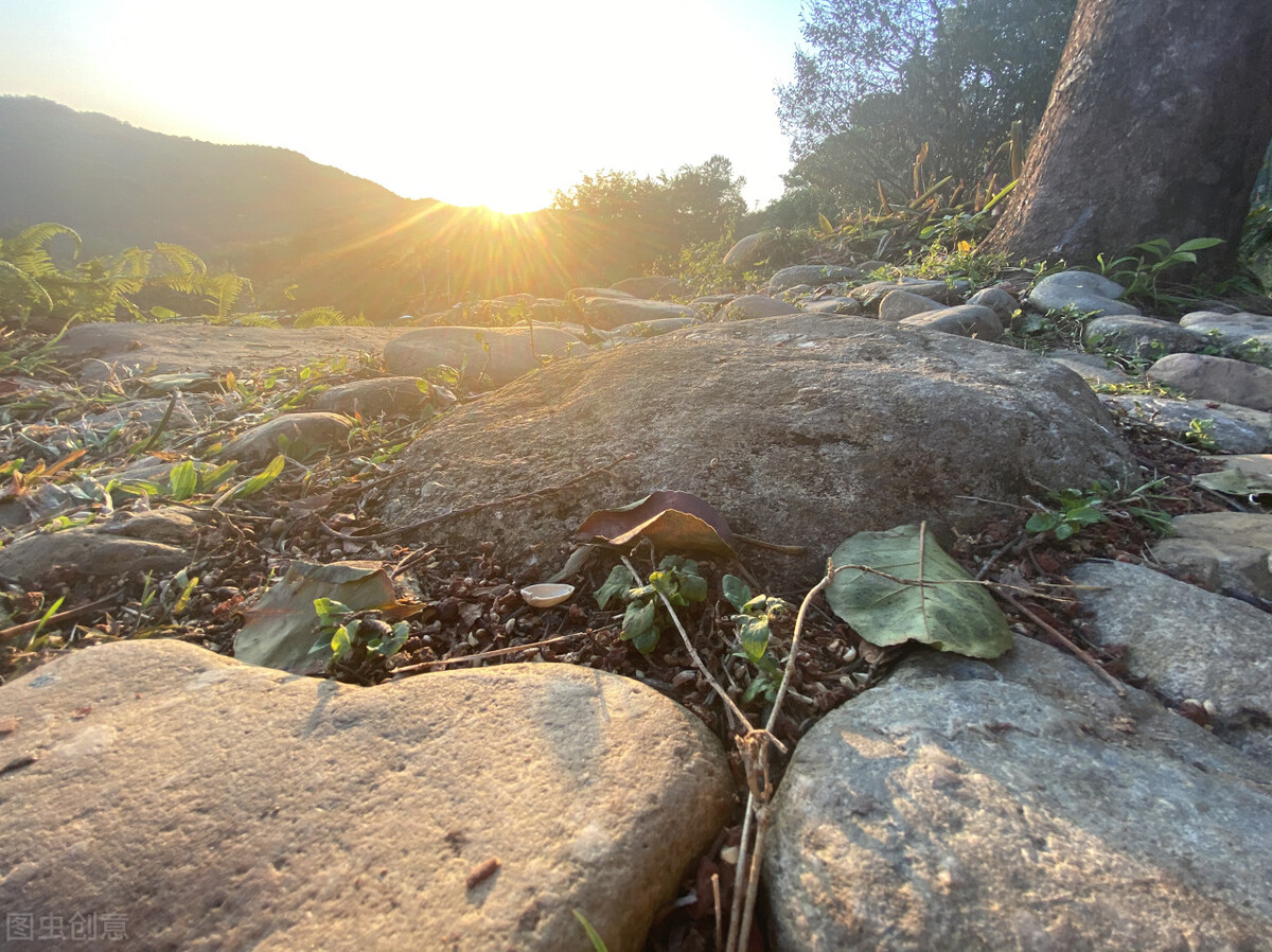 以经历为话题的作文(以经历为话题的作文700字)（以经验为主题的作文（ 字作文经验为主题）文章) 