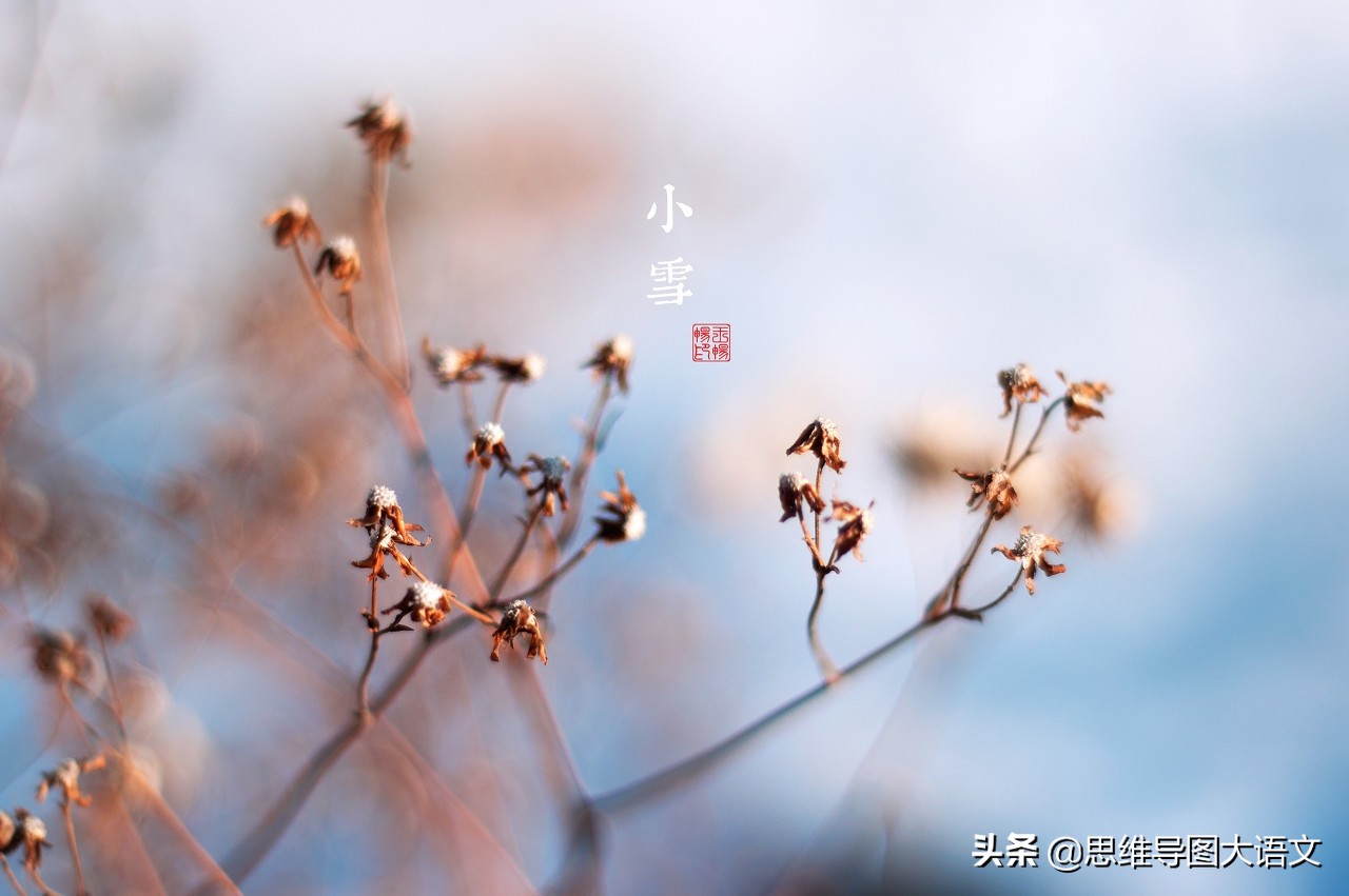 关于清明节的优秀作文(关于清明节的优秀作文250字)（清明节优秀作文（清明节优秀作文250字）文章) 