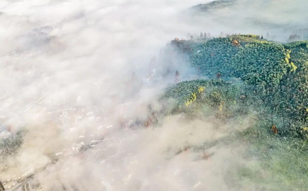 陕西礼泉作家韩武荣深情美文《秋雾》