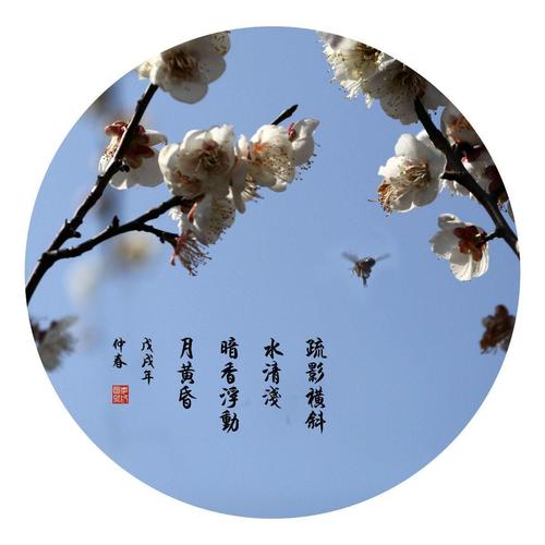 暗香浮动月黄昏