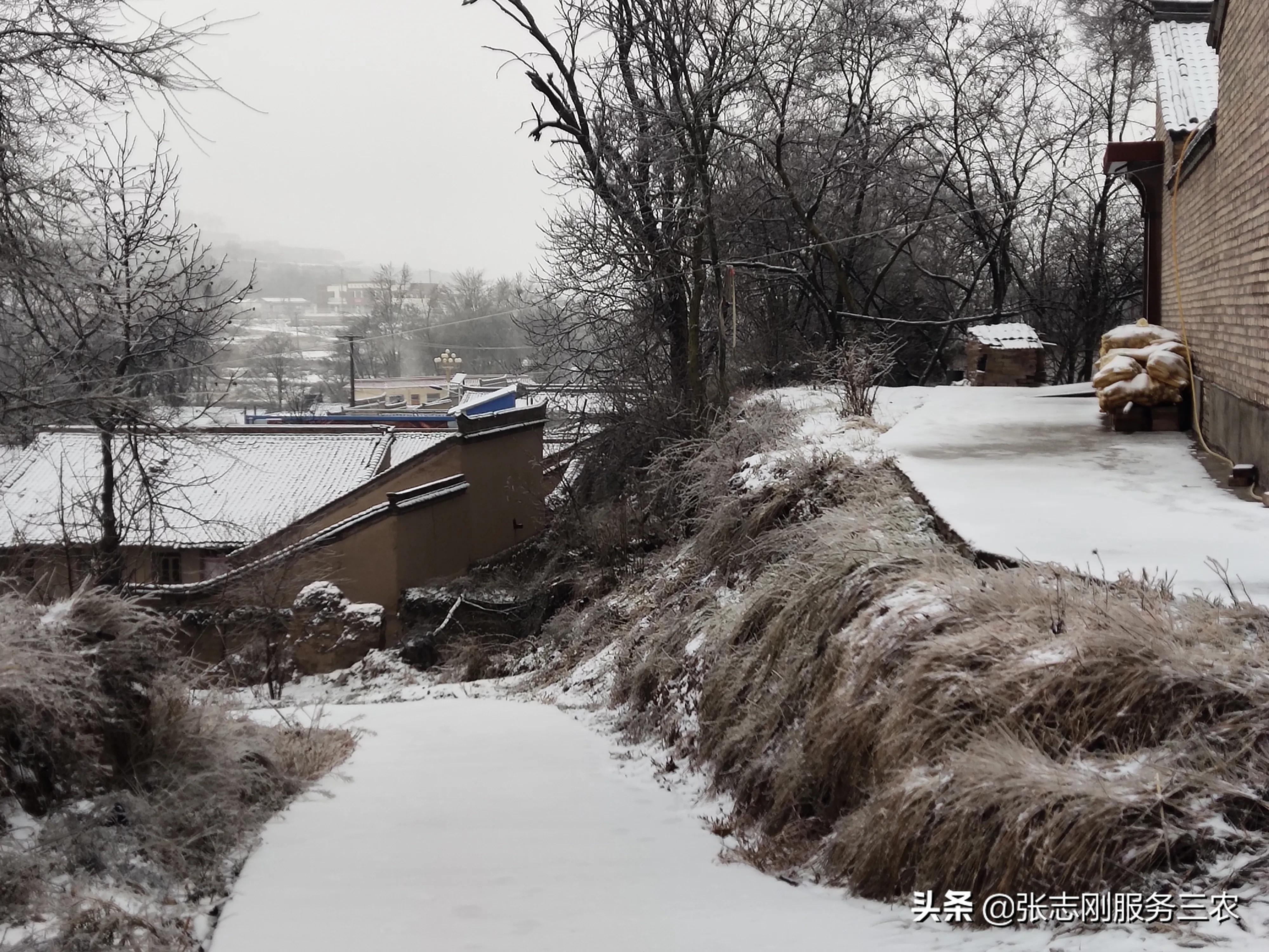 西北农村山区一个贫困孩子家长，写给xxx老师的自我检讨书