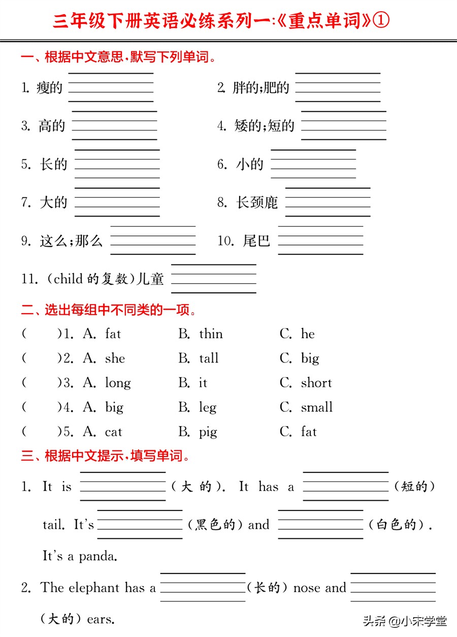 22春新!三年级下英语《重点单词+核心短语+经典句型》必练密卷