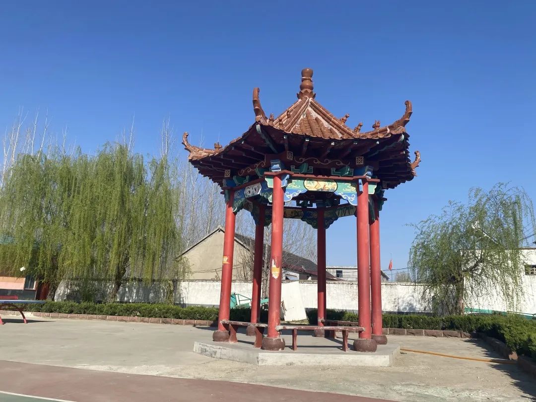 春暖花开，春色满园——新桥吉庆小学把春天的校园寄给你