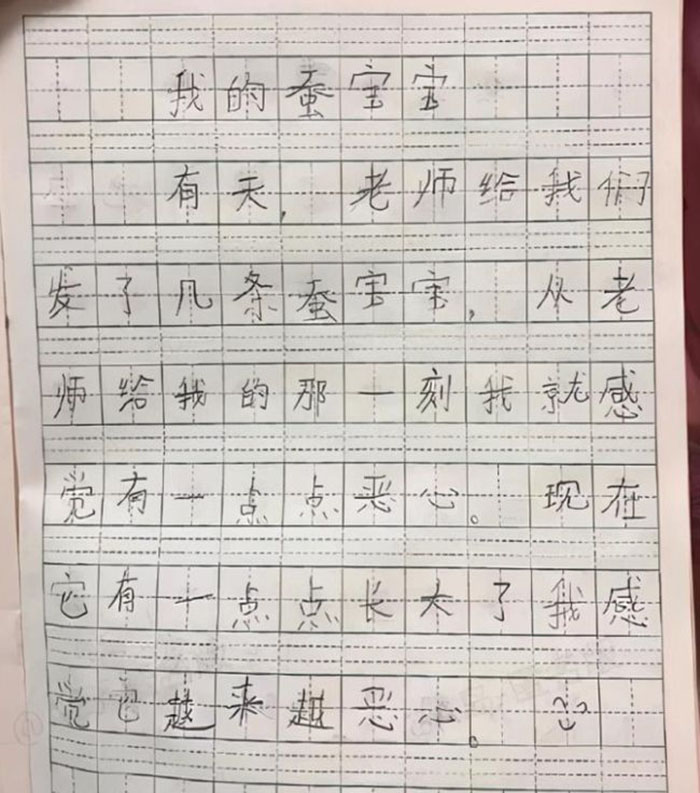 小学生作文《不要妹妹》：老师看后笑得手抖，妈妈看了想打人