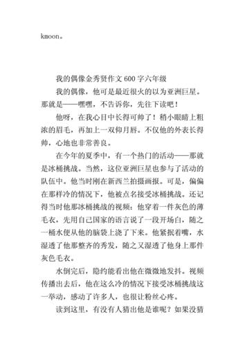 我的偶像作文500字