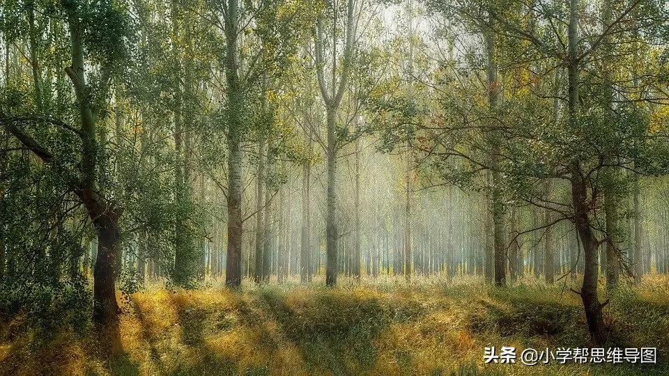 优秀作文 :?《找春天》《我为家乡的公园代言》《暖?》