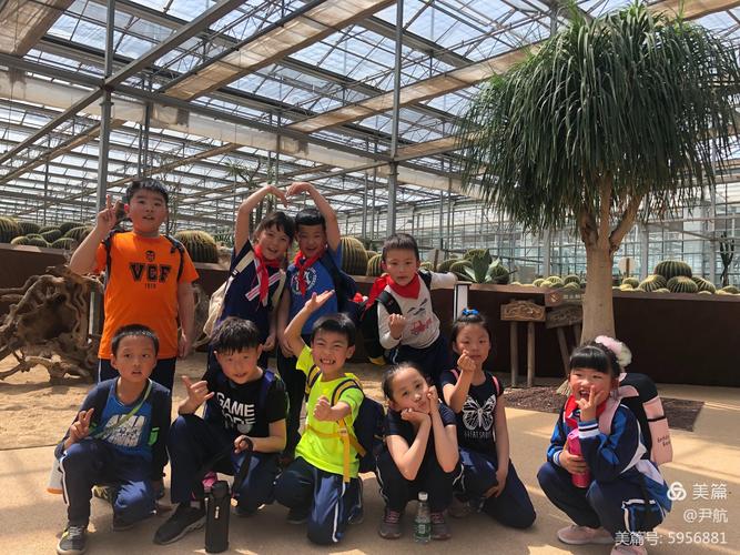 研学活动的收获和感悟