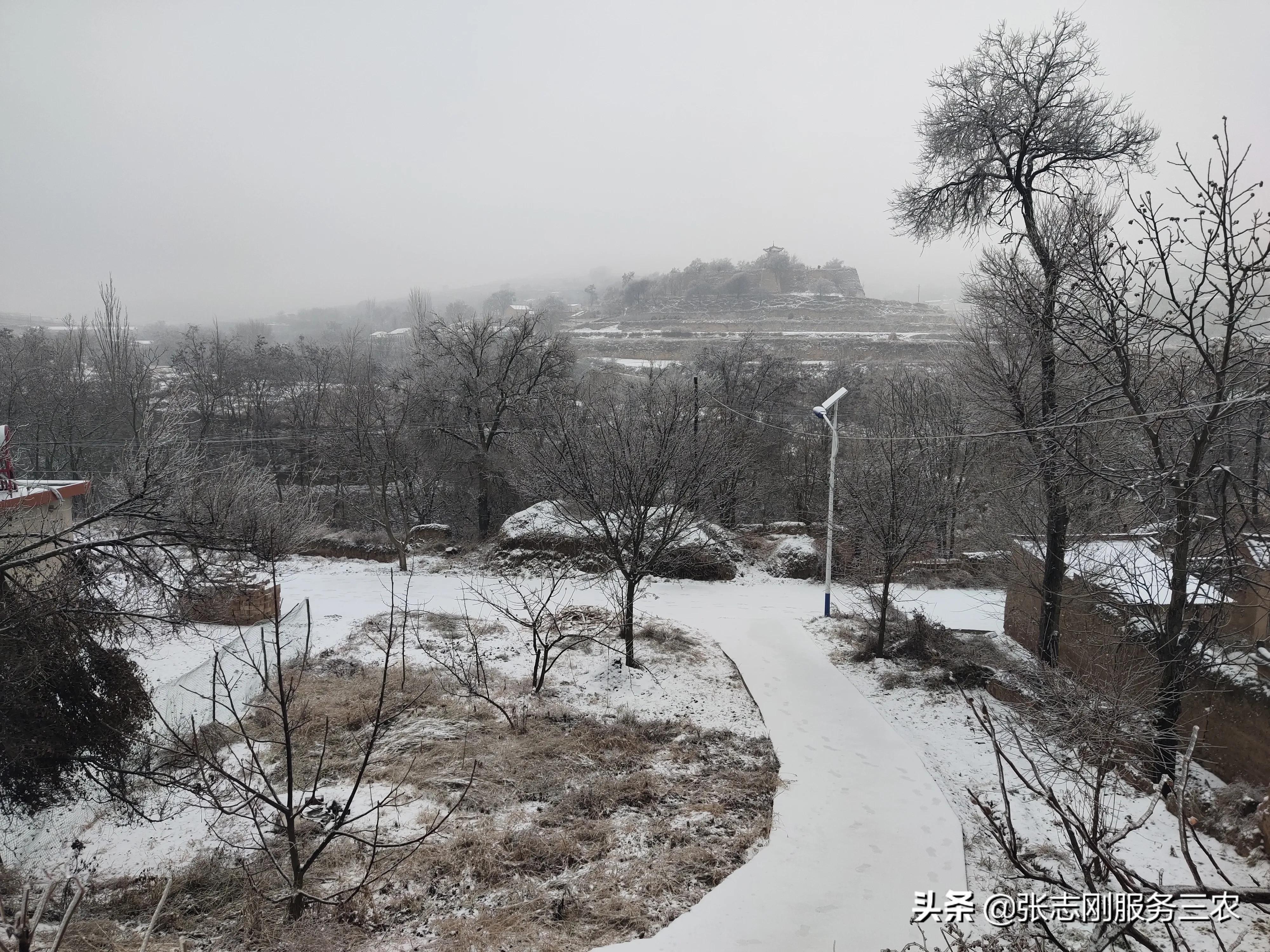 西北农村山区一个贫困孩子家长，写给xxx老师的自我检讨书