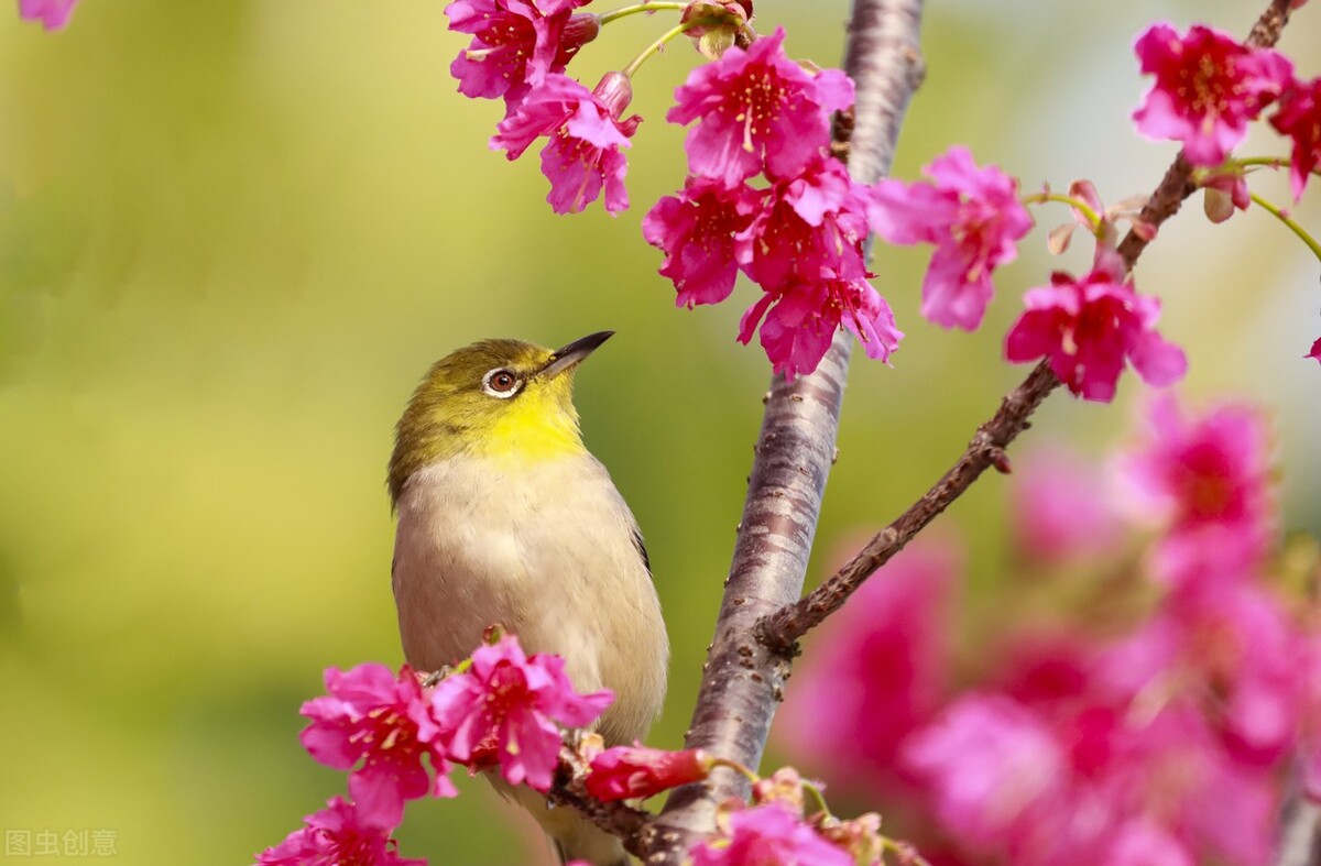 给父亲的一封信