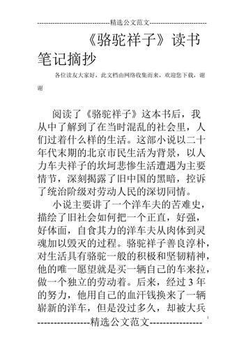 骆驼祥子读书报告
