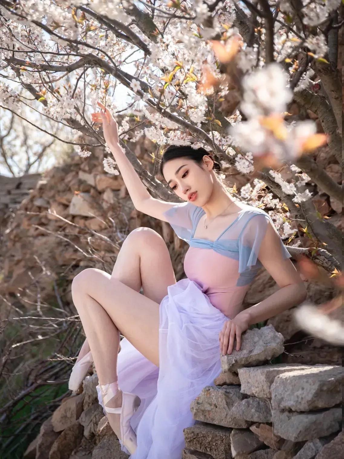 芭蕾写真|樱花树下的约定
