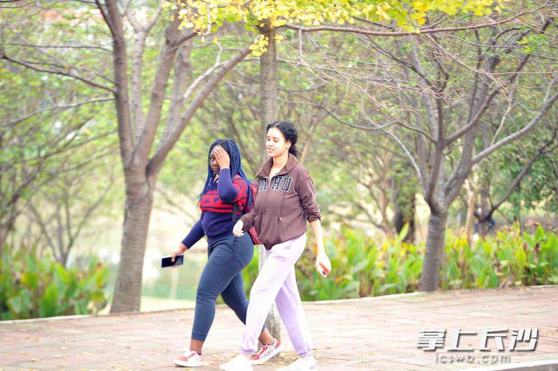 书香校园秋色如画