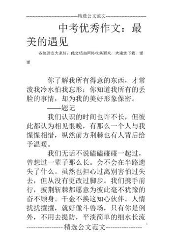 《遇见——》作文(遇见作文六年级)（《遇见——》作文（六年级会议作文）文章)