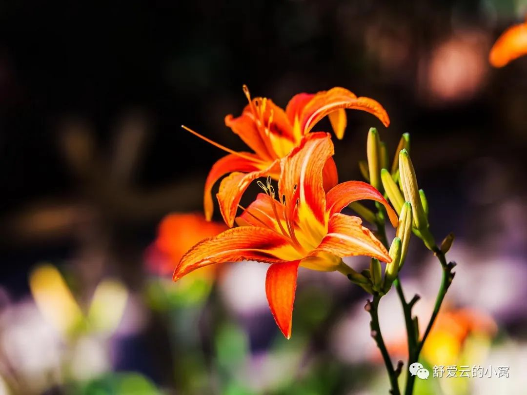 关心他人,先于关心自己