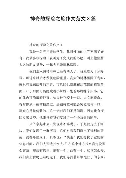 神奇的探险之旅400字作文