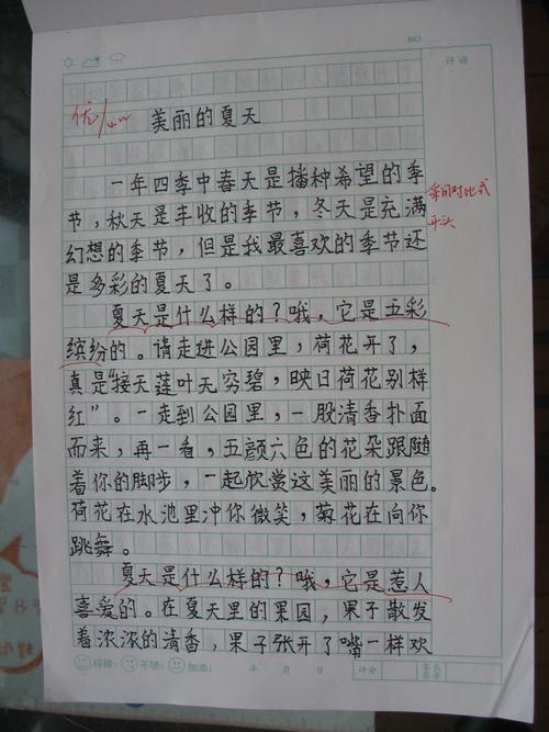 我的发现500字优秀作文