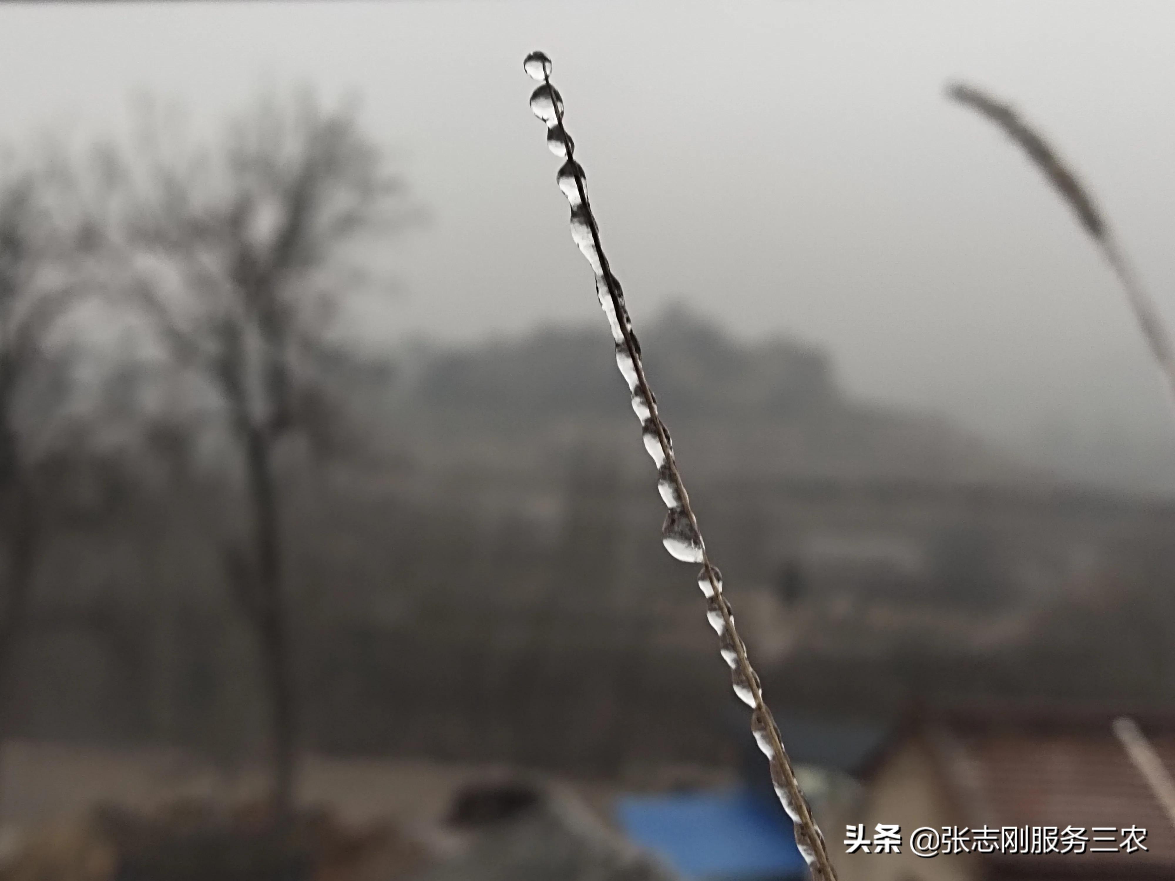 西北农村山区一个贫困孩子家长，写给xxx老师的自我检讨书