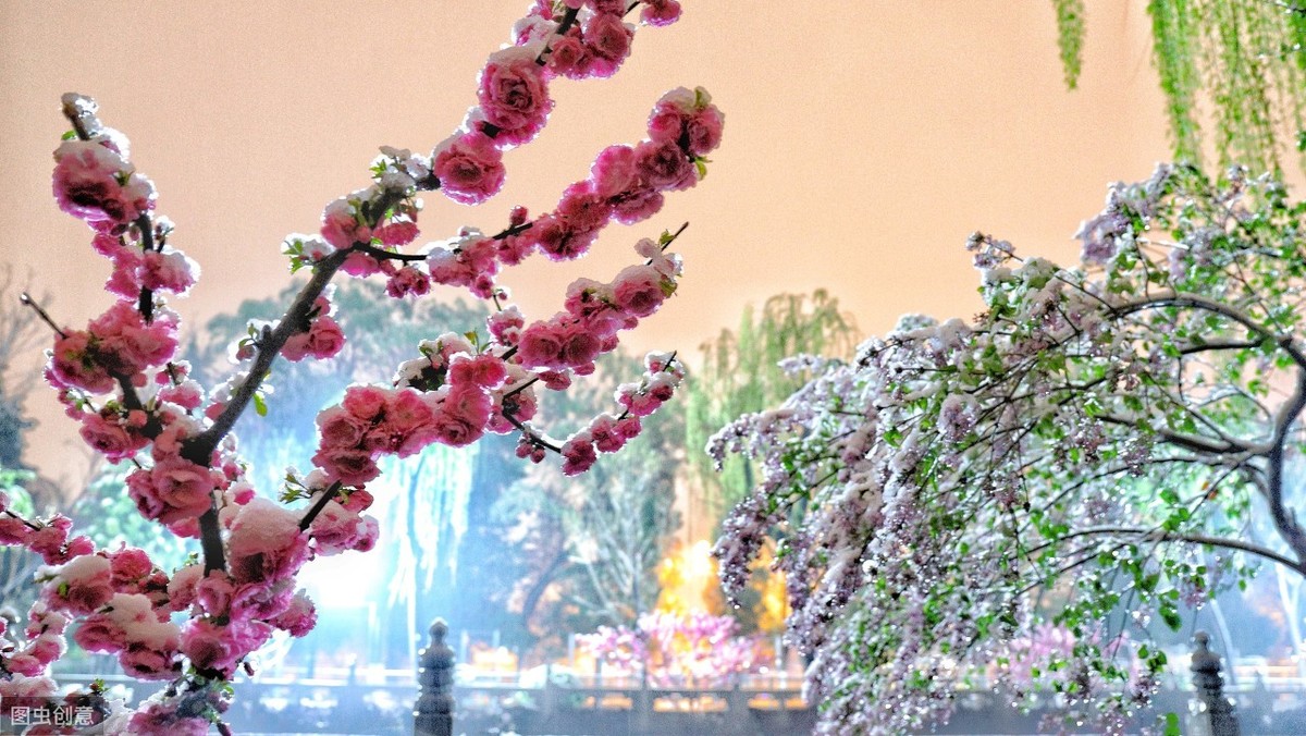 第一场雪作文(第一场雪作文三年级300字)（第一首雪作文（三年级第一首雪作文，300字）文章) 