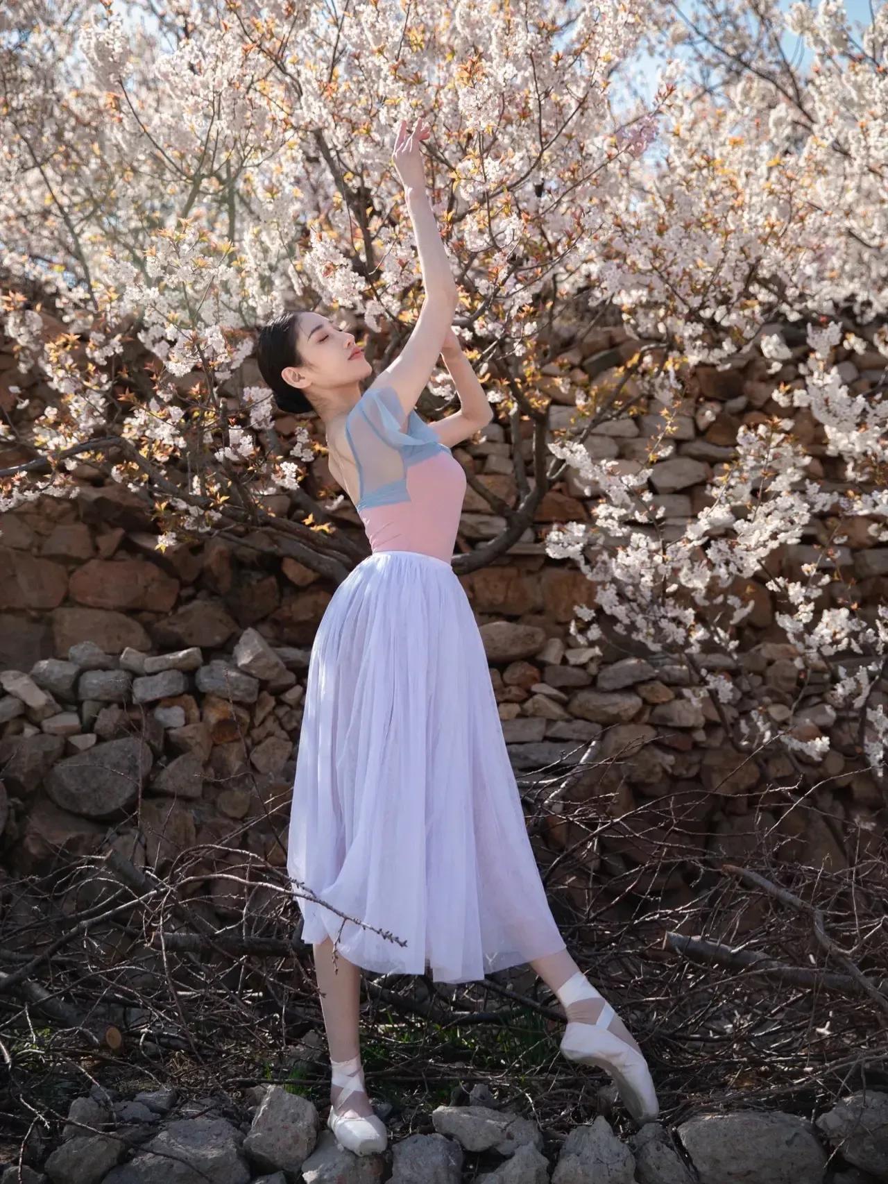 芭蕾写真|樱花树下的约定