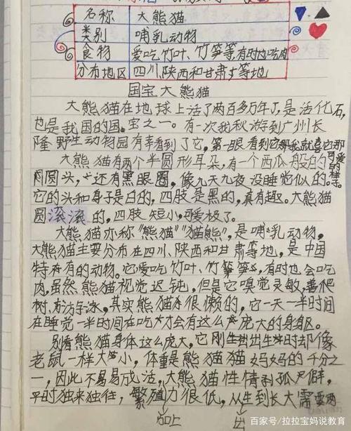 作文大熊猫
