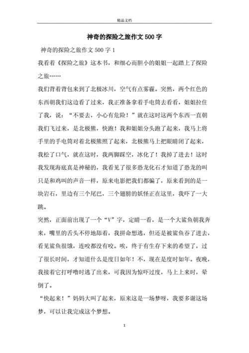 神奇的探险之旅500字作文