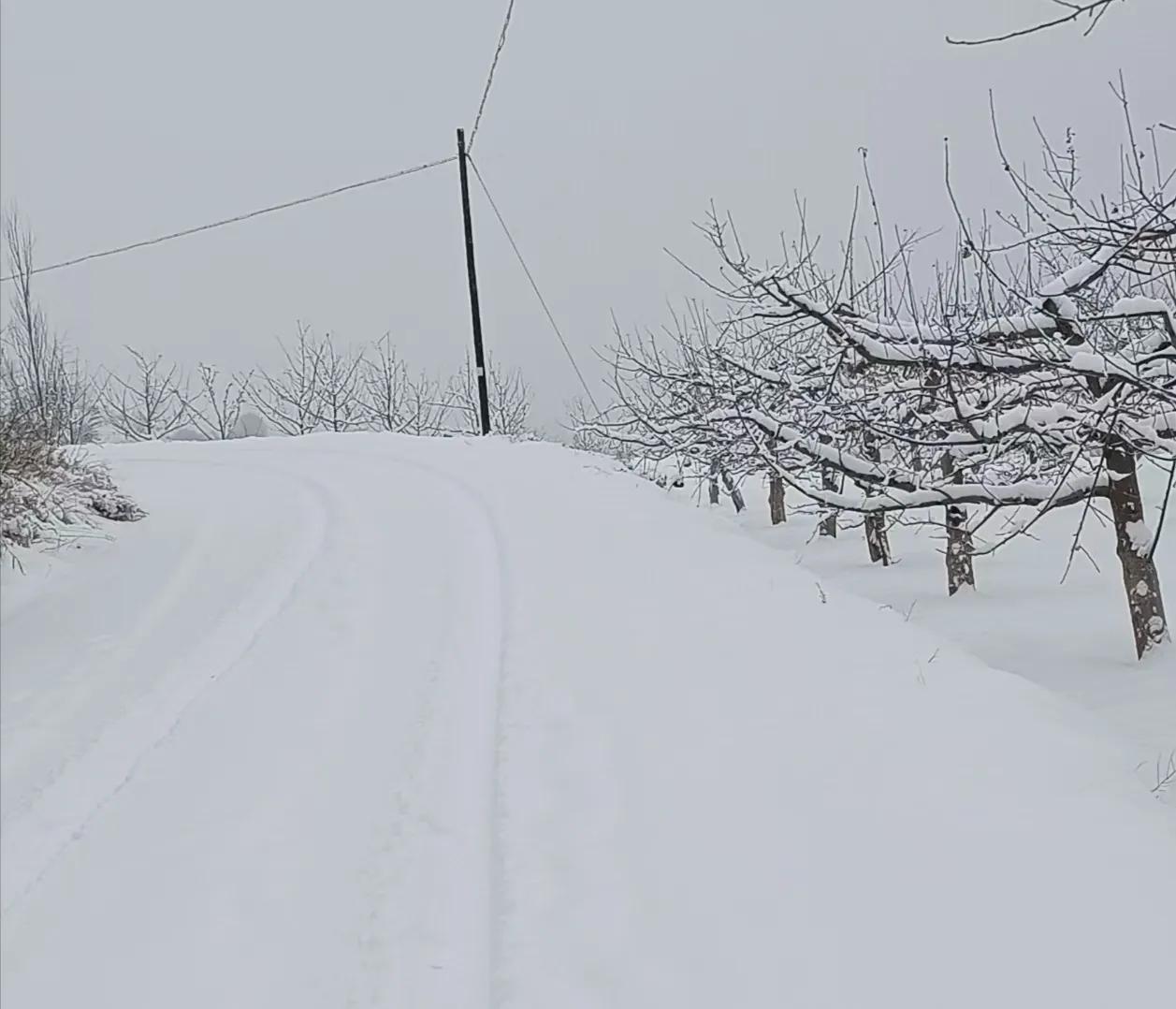 晶莹剔透的雪花