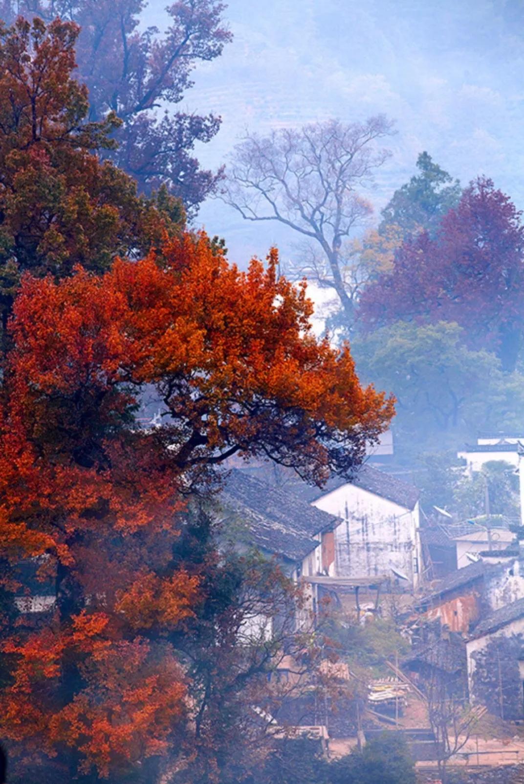 陕西礼泉作家韩武荣深情美文《秋雾》